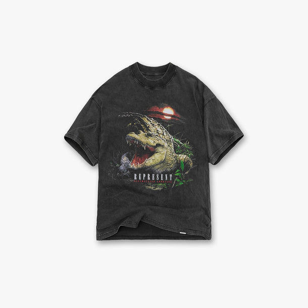 Represent Destructive Appetite T-Shirt - Vintage Grey